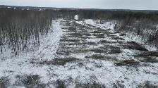 LAND CLEARING • TREE REMOVAL • ROAD BUILDING • LOGGING - Photo 6
