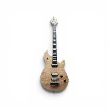 Guitare électrique van halen