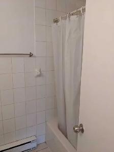Furnished 2BHK apartment in downtown - Photo 4
