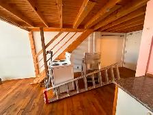 INDUSTRIAL STYLE LOFT FOR RENT JUNE 1st - Photo 4