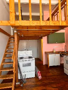 INDUSTRIAL STYLE LOFT FOR RENT JUNE 1st - Photo 5