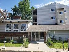 PET FRIENDLY WEST END APARTMENT