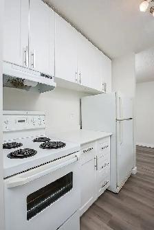 PET FRIENDLY WEST END APARTMENT - Photo 2