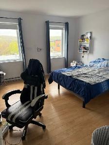 41/2 avec verrière l’est de Sherbrooke - Photo 6