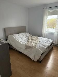 41/2 avec verrière l’est de Sherbrooke - Photo 7