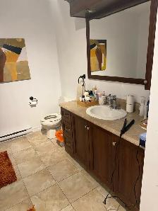 41/2 avec verrière l’est de Sherbrooke - Photo 8