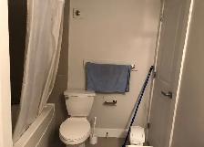 Two Story 3 Bedrooms and 2.5 Baths home for rent  in Siltstone - Photo 9