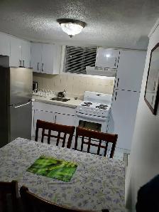 Furnished Room for Female only @ Rogers Rd/Dufferin St. - Photo 4