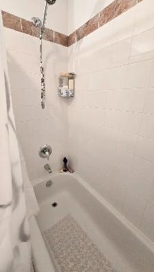Condo, 3 1/2 Saint-Hubert, libre 1er juillet 2026, Air climatisé - Photo 6