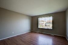 3 Bed 1.5 Bath Duplex in Lakeland Available July 2nd! - Photo 6