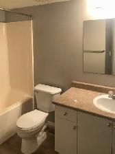 3 Bed 1.5 Bath Duplex in Lakeland Available July 2nd! - Photo 9