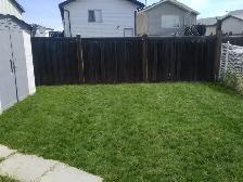 3 Bed 1.5 Bath Duplex in Lakeland Available July 2nd! - Photo 10