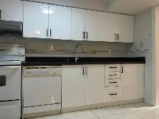 Yonge/Steels 2 Bedroom Basement Apartment for Lease - Photo 4