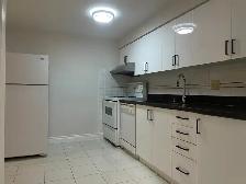 Yonge/Steels 2 Bedroom Basement Apartment for Lease - Photo 5