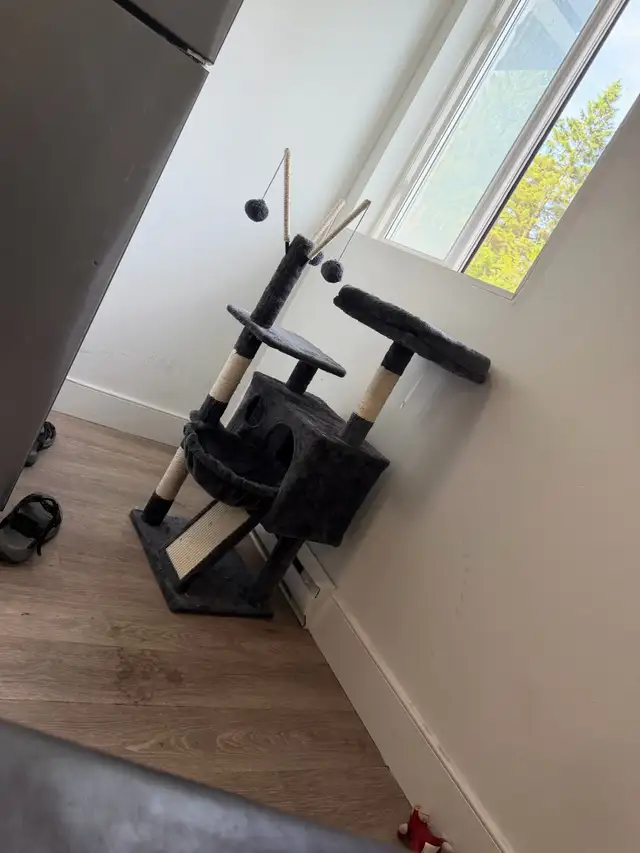 cat tree