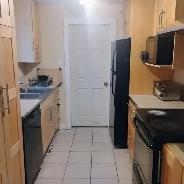 Immed/June 1-Merivale/Meadowlands-LRG 12X18-15m/Algonq-VIDEO's - Photo 4