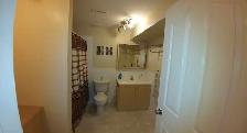 Walkout Basement for Rent (Rocky Ridge NW) - Photo 3
