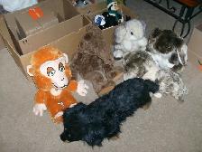 Yard Sale May 30 - Photo 9