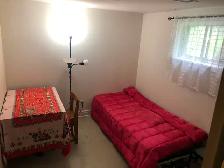 BRIGHT ROOM BASEMENT 1min TO PLAZA STEELES AND BATHURST NEAR BUS