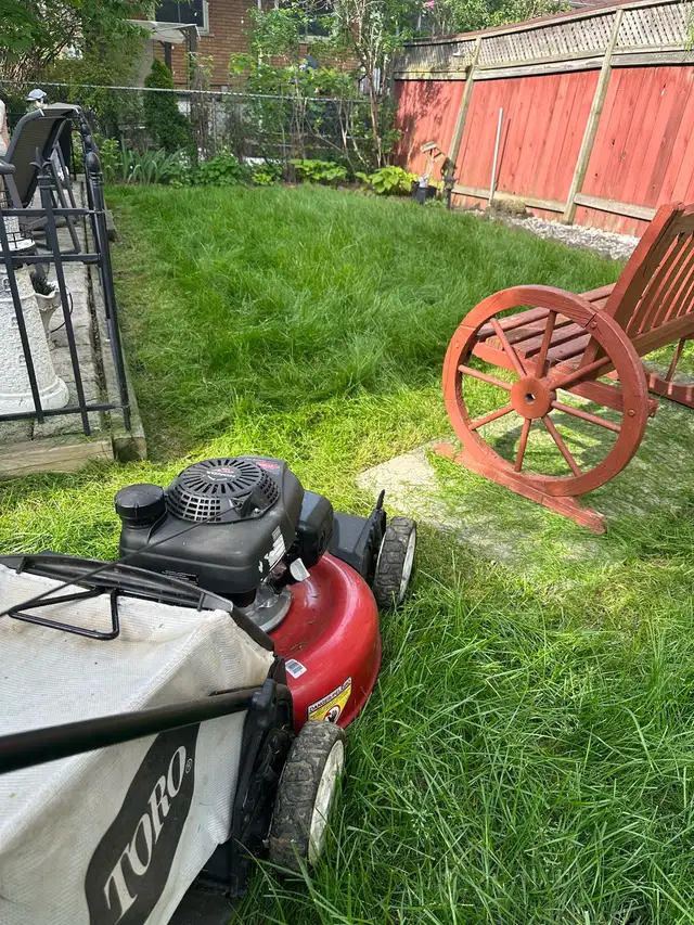 lawn care
