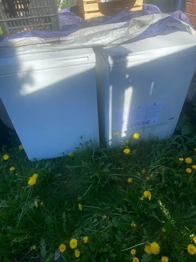 chest freezers