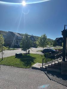 Blue Mountain - Room for Rent - Photo 8