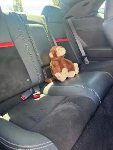 Challenger - Photo 8