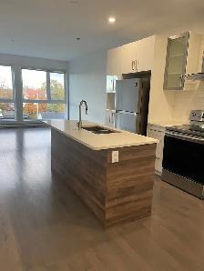 Condo 4 1/2 - 12e MOIS GRATUIT - Photo 2