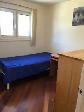 Furnished room  on main floor, close to UTM for rent - Photo 7