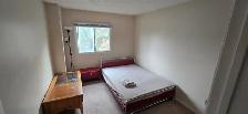 Fully Furnished 3Bedroom Single Family Home in Prime Scarborough - Photo 8