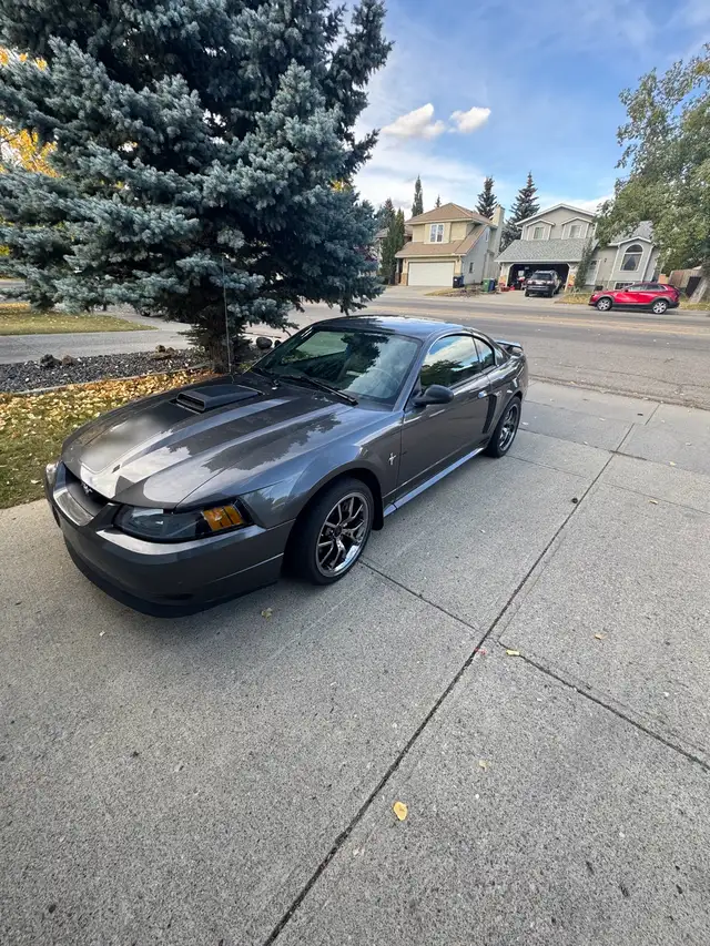2003 Mustang Mach 1