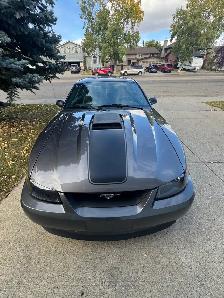 2003 Mustang Mach 1 - Photo 3