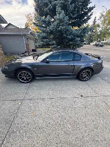 2003 Mustang Mach 1 - Photo 4