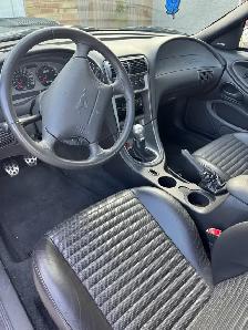 2003 Mustang Mach 1 - Photo 5