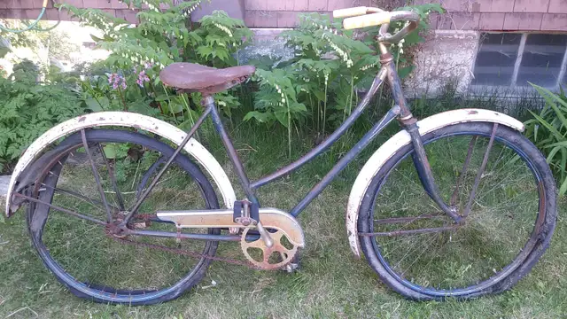 Cruiser Bike (Vintage)