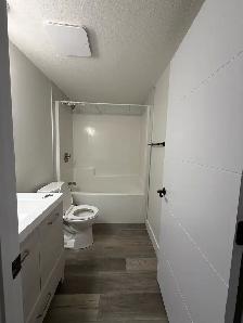 Beautiful Suite for Rent/ U of A, South Gate Mall Area - Photo 10