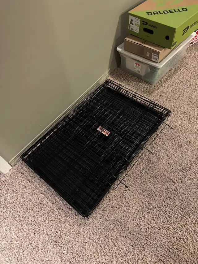 foldable dog crate