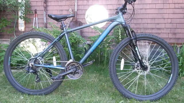 New (almost) Mountain Bike (has less than 40km on it)