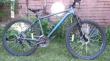 New (almost) Mountain Bike (has less than 40km on it)