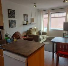 appartement  temporaire - Photo 6