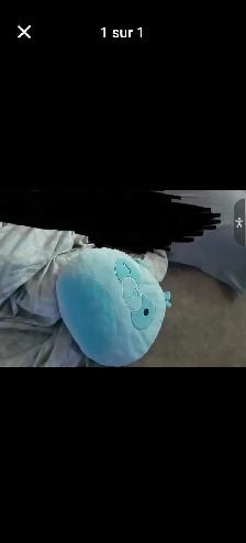 Recherche Toutou/Peluche Kid Connection - Photo 2
