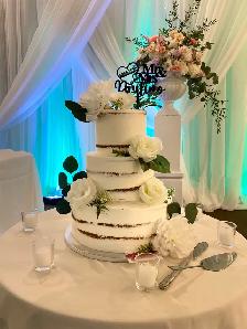 Butterfly cake, slab cakes, mini tarts fruit - Photo 10
