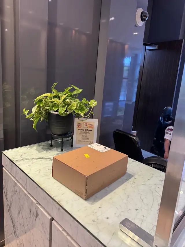 delivery driver