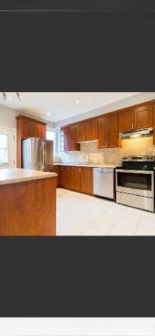 House for Rent - Photo 24