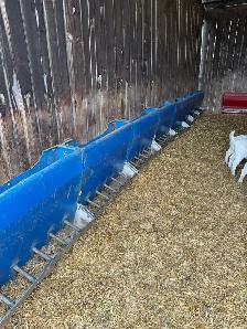 Turn Key Boer/Meat Goat Operation - Photo 5