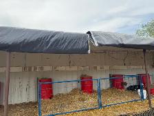 Turn Key Boer/Meat Goat Operation - Photo 6