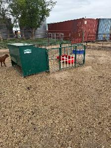 Turn Key Boer/Meat Goat Operation - Photo 10