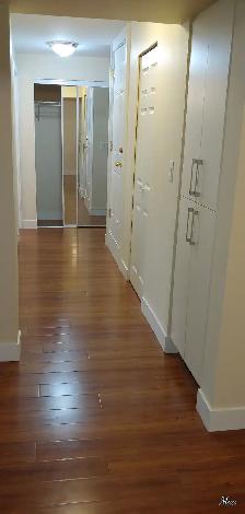 Beautiful 2 BR Den Basement Suite, Westwood plateau, Coquitlam - Photo 8