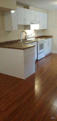 Beautiful 2 BR Den Basement Suite, Westwood plateau, Coquitlam - Photo 9