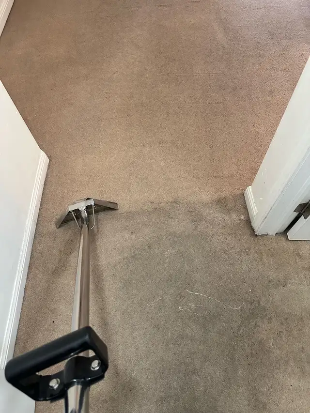 Carpet & Sofa Steam cleaning